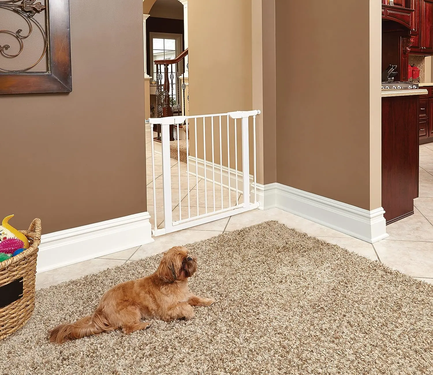 Is Your Home Bulldog-Proof? Find Out Now!