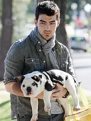 Joe Jonas and his English Bulldog
