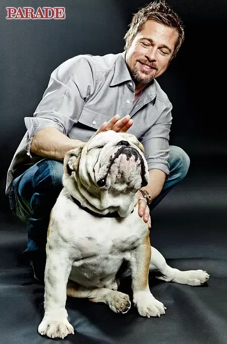 Brad Pitt and his English Bulldog