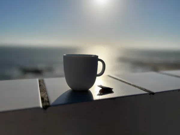 A coffee on a balcony with a view of the sea Bulldog called Luna