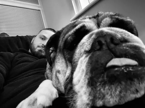 A Bulldog snoring – Do English Bulldogs snore