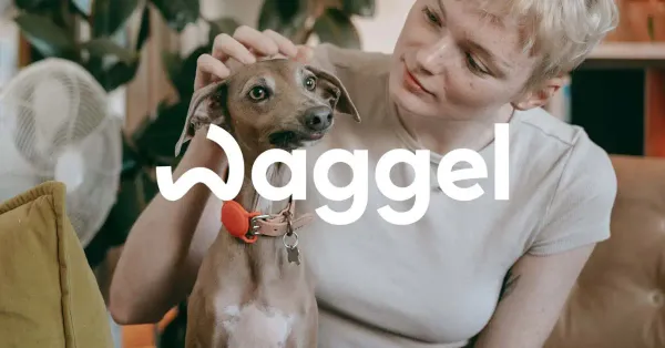 Waggel Pet Insurance Review
